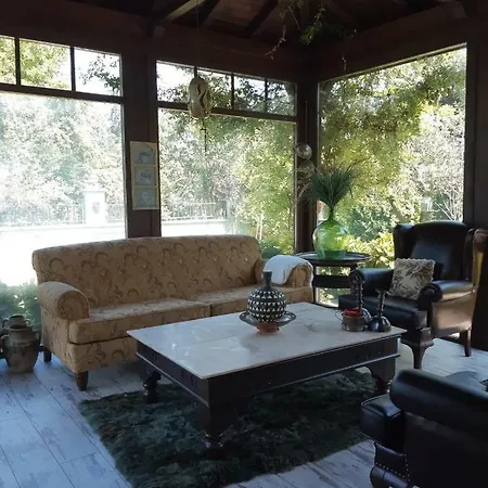 Deniz Deluks Villa *
