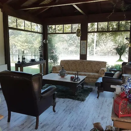 Deniz Deluks Villa Sapanca