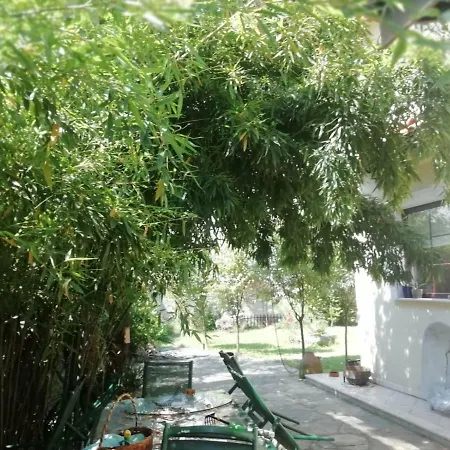 Deniz Deluks Villa