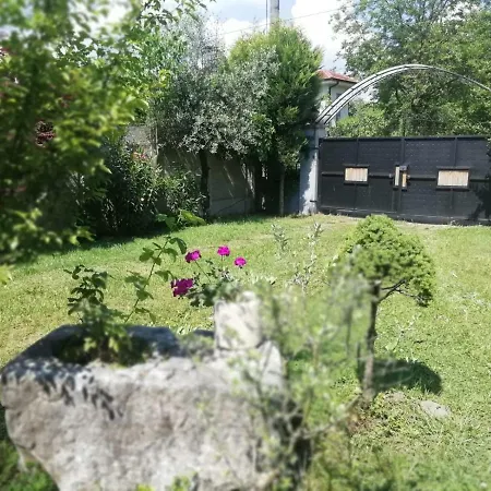 Deniz Deluks Villa Sapanca